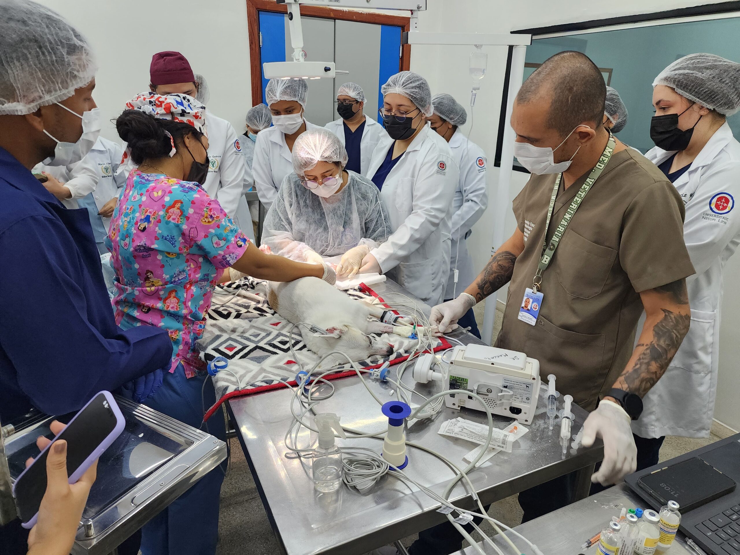 Hospital Veterinário Nilton Lins (HVet), inicia uma campanha