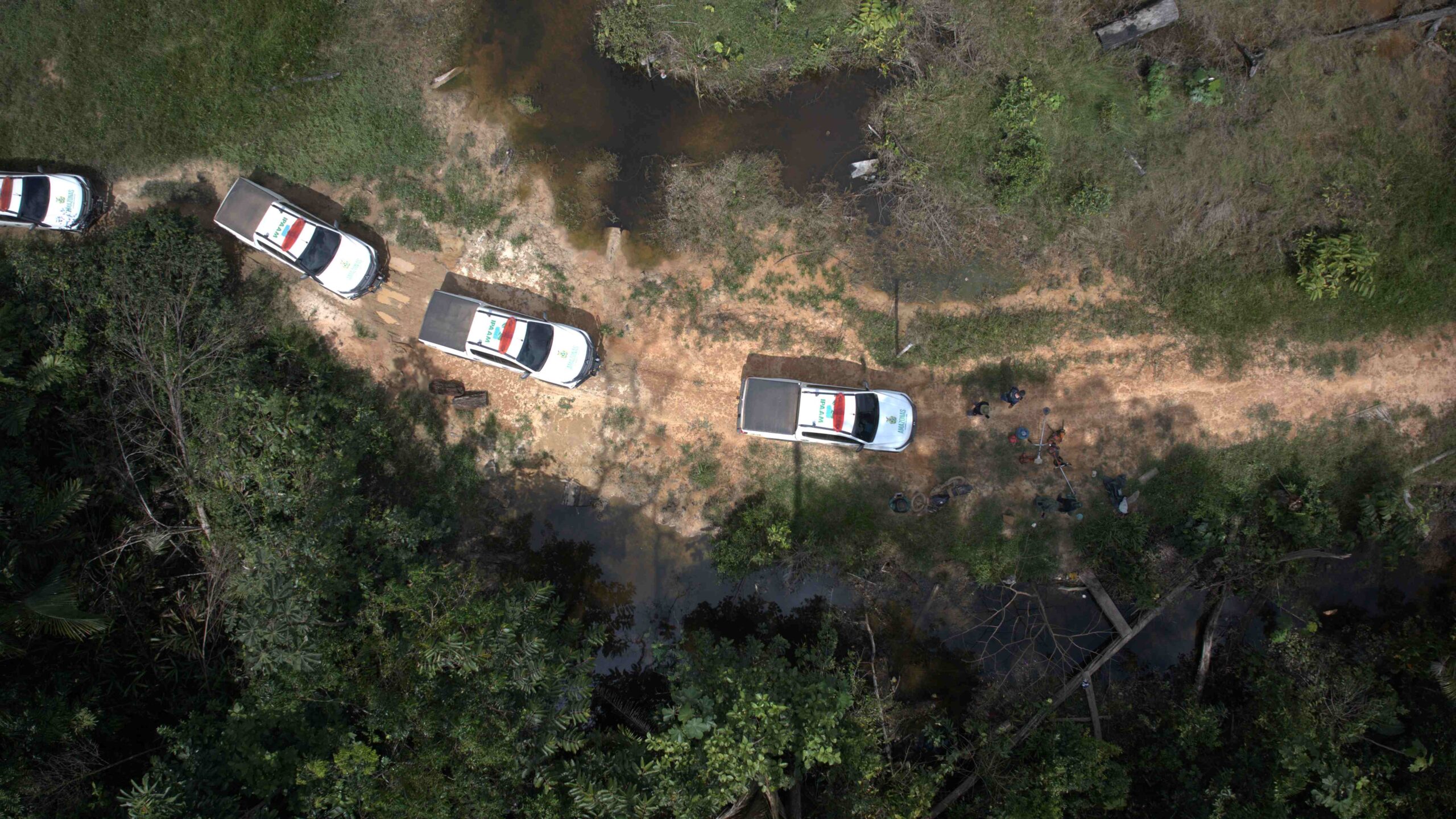 Ipaam aplica multa de R$ 5,4 milhões por desmatamento ilegal na Floresta Estadual de Tapauá