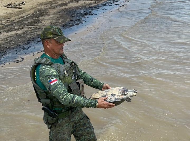 Base Arpão 2: PMAM apreende 30 quelônios durante abordagem em uma embarcação