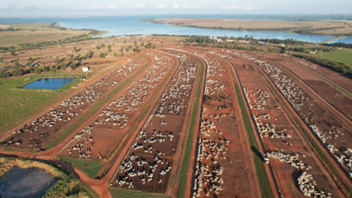 Colpar Agro é eleita 8ª maior empresa agropecuária nacional
