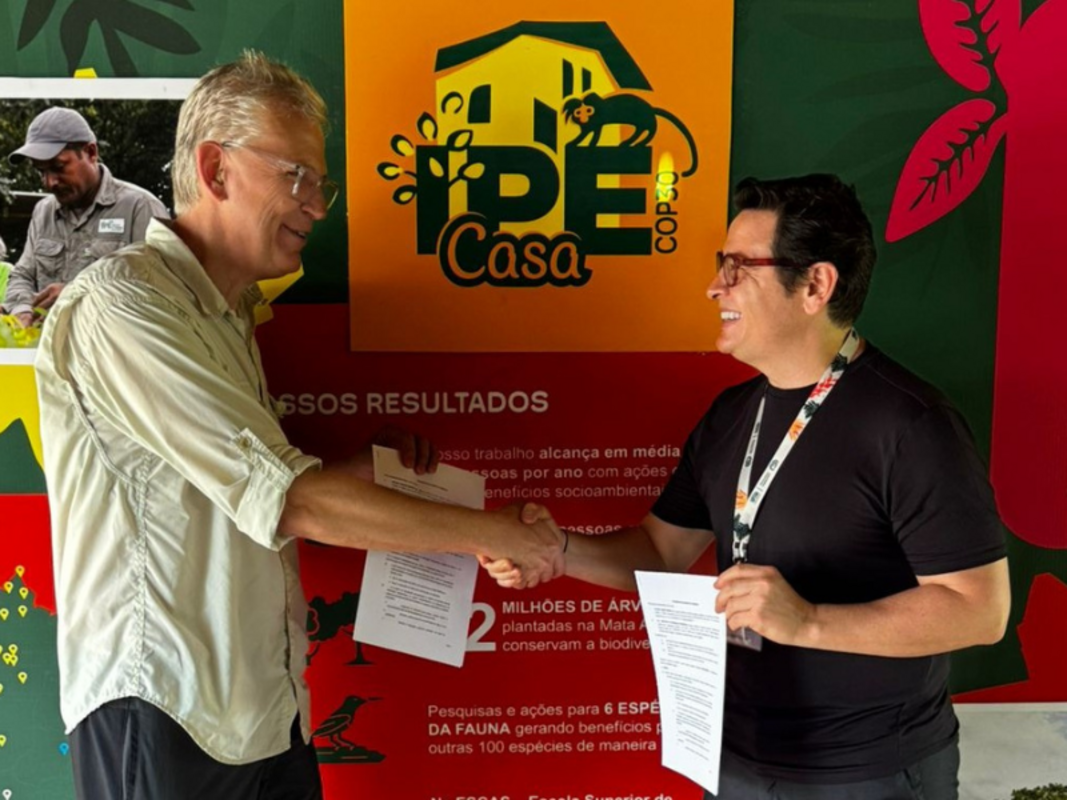 FutureClimate e IPÊ unem esforços pela restauração
