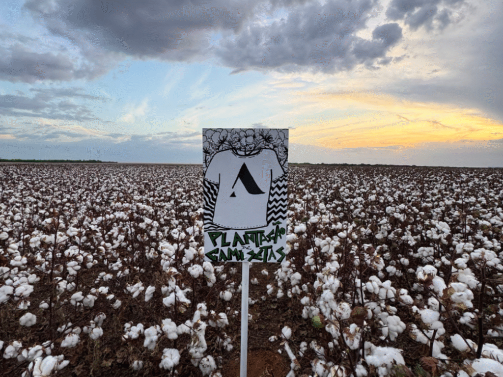 Future Climate e Almagrino vestem transparência na COP30