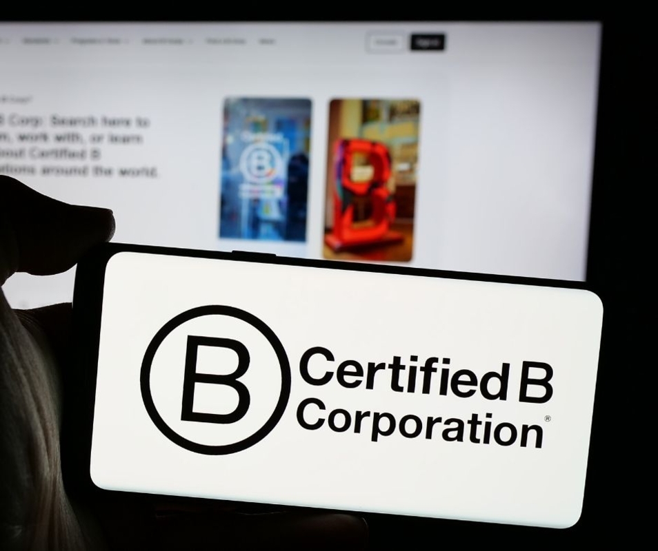 Como as Empresas B têm se diferenciado no mercado